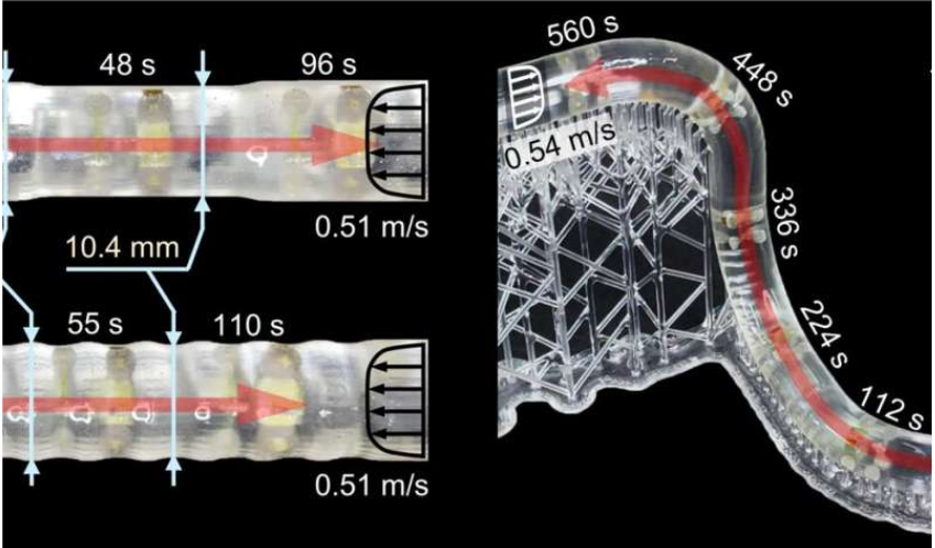 The robot's adaptive locomotion in pipes with changing inner diameter and complex 3D shape. Credit: Chong Hong and Yingdan Wu.