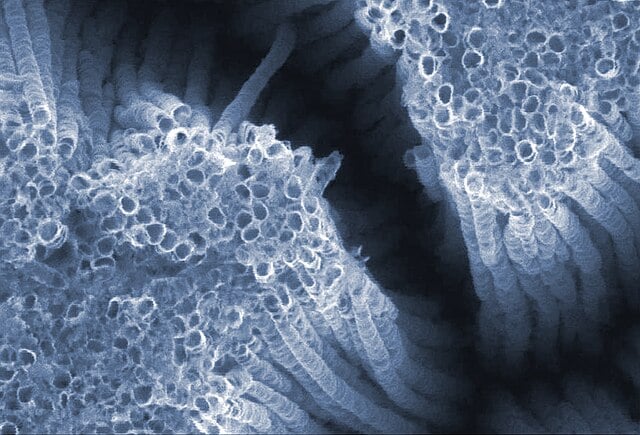 Titanium magnified showing nanotubes during lab prep. Image: Argonne National Laboratory 