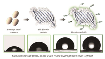 Tufts team turns silk into non-stick material