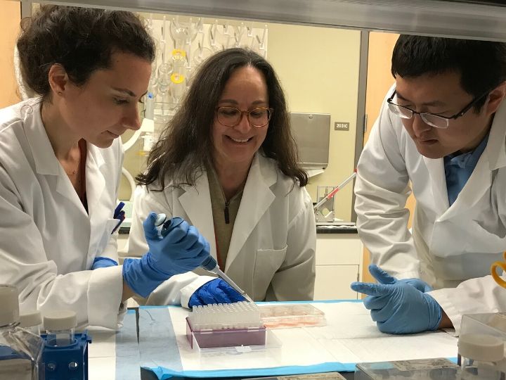 The Akay Lab biomedical research team includes (l-r) research assistant professor Naze Gul Avci, assistant professor Yasmine Akay and post-doctoral fellow Hui Xia. Source:  Akay Biomedical Engineering Lab 