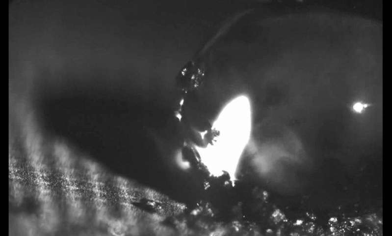 Water drops do not adhere to the self-cleaning aluminium surface. The latter has been functionalized by a team of CAMP scientists using direct laser interference patterning (DLIP). Source: Fraunhofer IWS Dresden