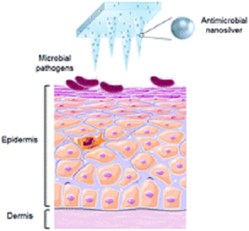 Illustration depicts administration of the microneedle patch. Source: University of South Australia