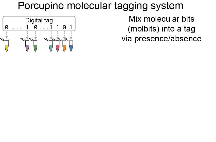 University of Washington and Microsoft researchers have developed a DNA-based molecular tagging system. Source: Kathryn Doroschak/University of Washington