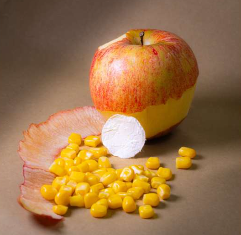 The bandage is made from a new biodegradable material developed by the team, consisting of zein, a protein obtained from maize; pectin, a sugar found in the peel of many fruits, like for example an apple; and soy lecithin, a substance sourced from the like-named plant. Source: Italian Institute of Technology