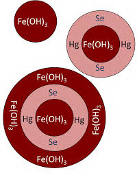 Simplified diagram of iron oxide co-precipitation with mercury and selenium.  Source:  www3.epa.gov.