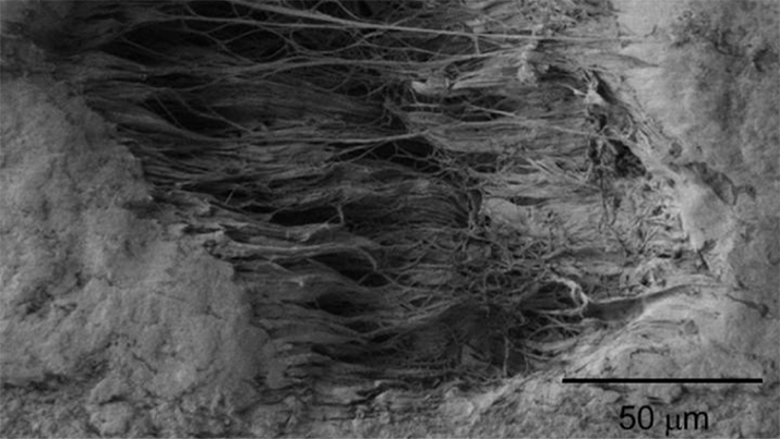 Changes in microstructure appear to control a material's static charge. Source: Case Western Reserve University. 