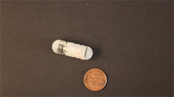 Robo-capsule delivers drugs directly to the gut