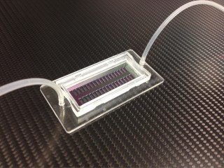 The new microhole chip can be populated with 200,000 single cells, each held in place in separate holes. (&copy; Photo Fraunhofer IBMT)