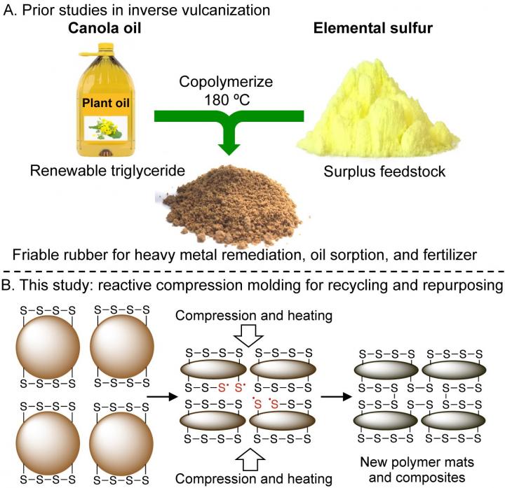 Researchers invent process to make sustainable rubber, plastics