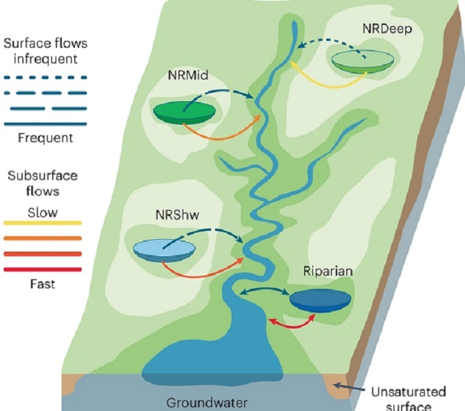 The scheme recognizes four connectivity classes: riparian, non-riparian shallow (NRShw), non-riparian mid-depth (NRMid) and non-riparian deep (NRDeep). Source: Nat Water 1, 370–380 (2023)