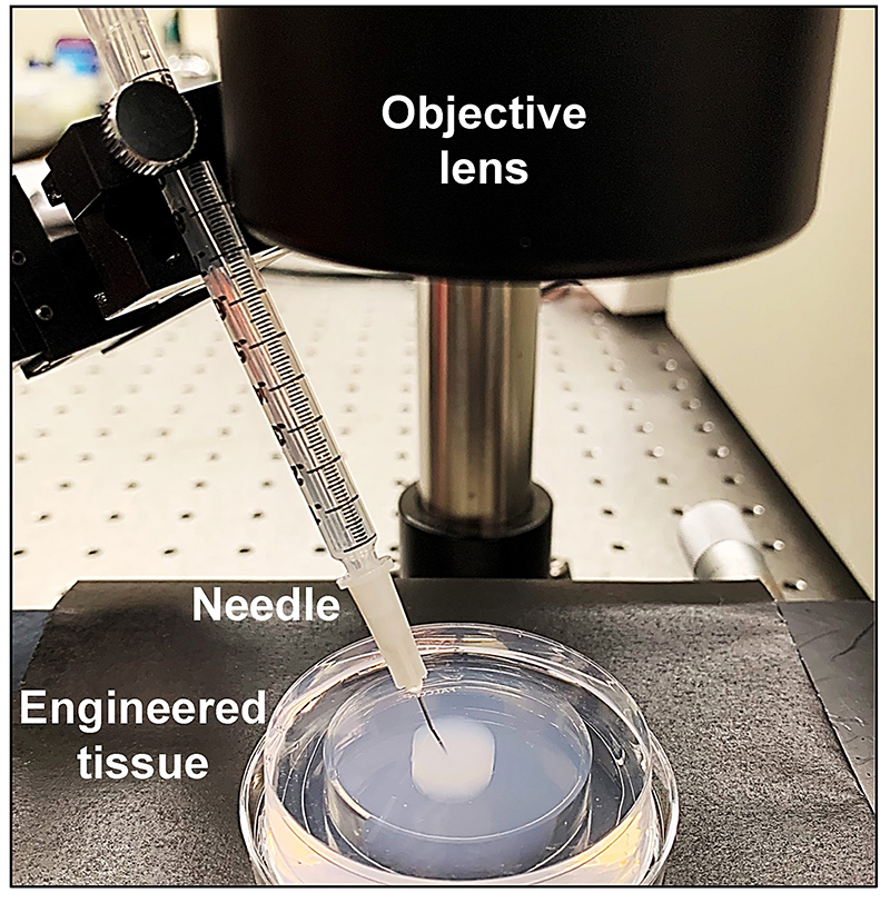 A Purdue University team created a biometric platform that uses an automatic injector to push a drug into the skin model and see how it interacts with the skin tissues. The technology can help drug manufacturers create new formulations and injection devices of medications. Source: Purdue University