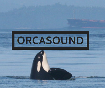 Source: Orcasound