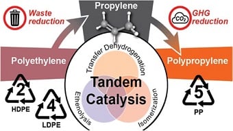 Catalytic process upcycles polyethylene into propylene