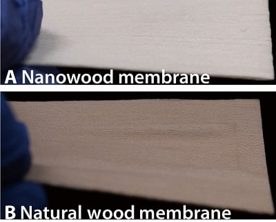 (A) Photo of the hydrophobic nanowood membrane. (B) Photo of the hydrophobic natural wood membrane. Source: Dianxun Hou et al.