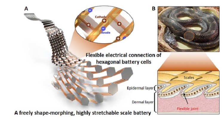 https://insights.globalspec.com/images/assets/432/17432/scale_battery_main_ia.jpg