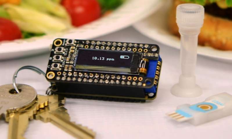 A portable allergen-detection system with a keychain analyzer could help people with food allergies test their meals. Source: The American Chemical Society