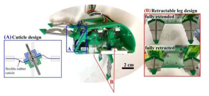 1 / 1A look inside the mole crab-inspired robot EMBUR. Images show the cuticle design that keeps out sand grains and a retractable fabric leg design that enables vertical burrowing. Source: Laura Treers