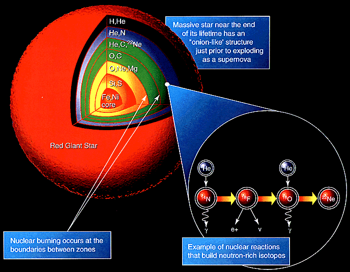 Figure 3. Stellar nucleosynthesis produces metal elements up to iron by "burning" fusing lighter elements.. Production of elements heavier or with atomic number greater than iron consumes energy.