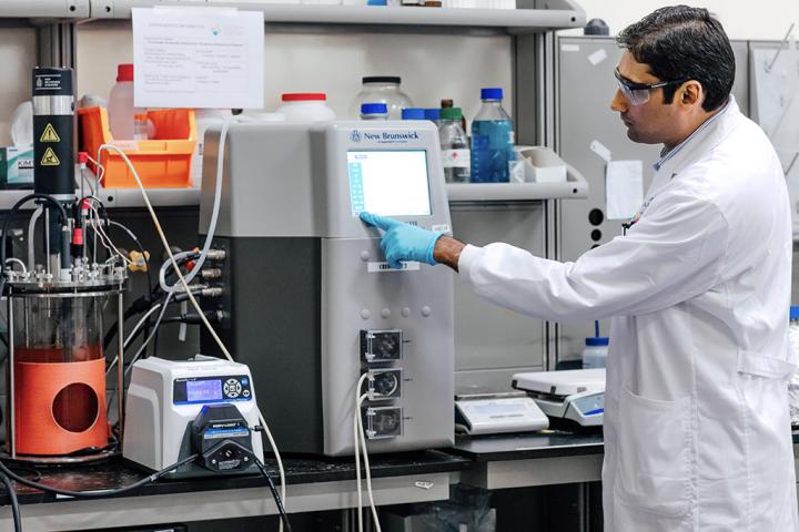 Muhammad Ali tests the effectiveness of Candidatus Scalindua sp. AMXII at treating salinated wastewater. Source: © 2019 KAUST; Anastasia Khrenova