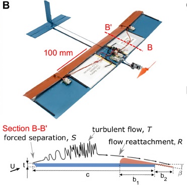 The miniature drone demonstrator and a section of the bioinspired separated flow airfoil. Source: M. Di Luca et al.