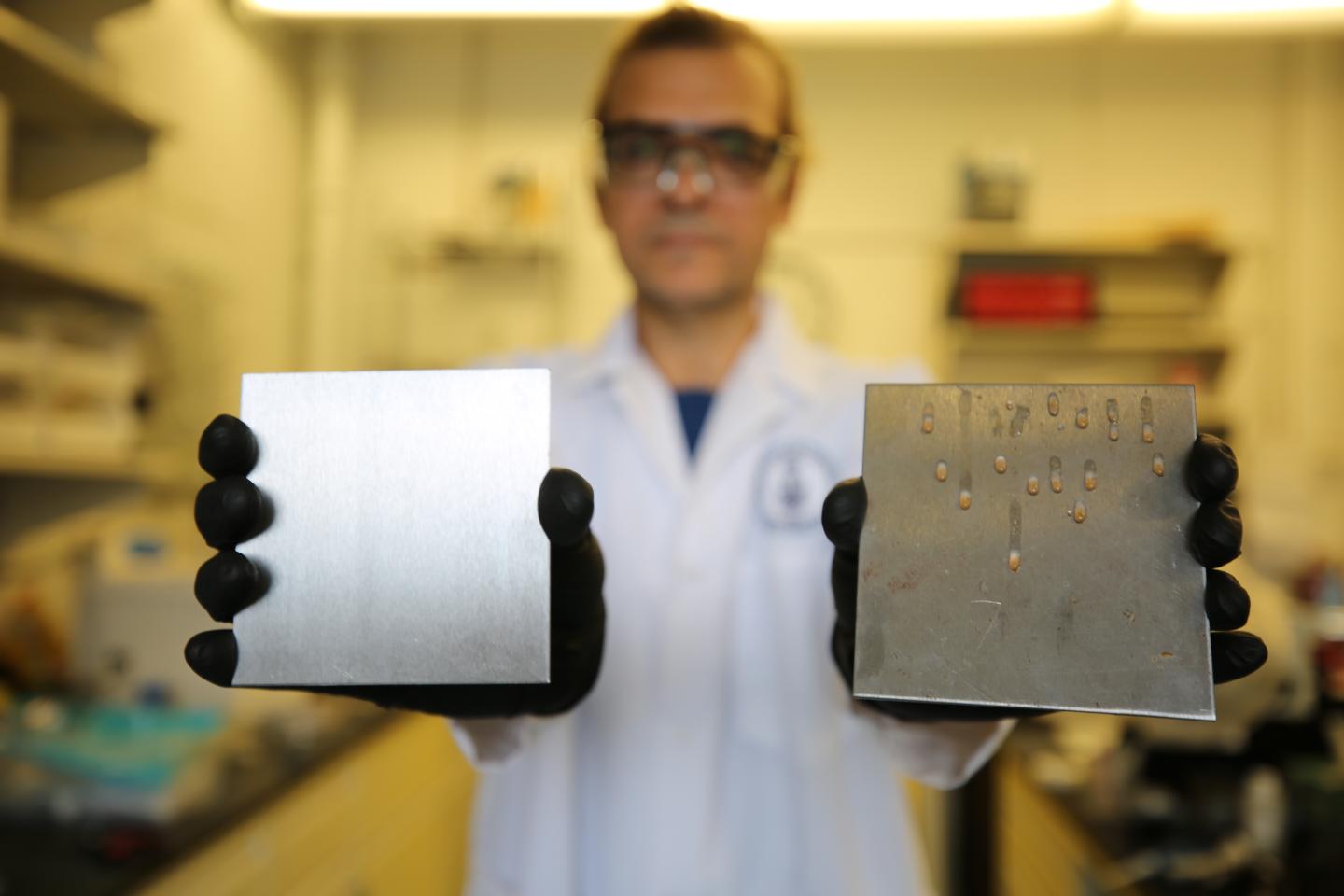 Dr. Tarek Awad, a researcher in the University of Toronto's Department of Materials Science & Engineering, shows two samples: at left, a stainless steel surface treated to trap simple cooking oil, and at right, an uncoated surface. The uncoated surface can accumulate food residue and encourage the growth of food-borne pathogens. Source: Liz Do