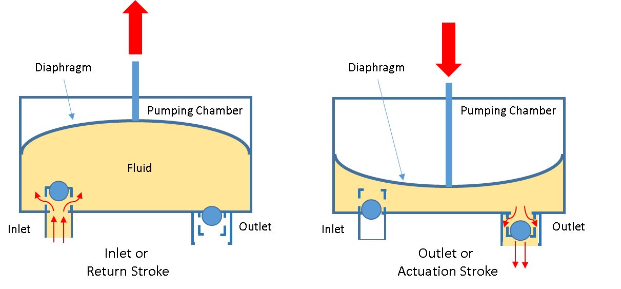 Wiring And Diagram Double Diaphragm Pump Diagram - Riset