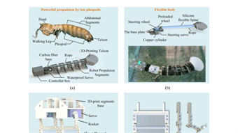 Mantis shrimp-inspired robot designed for underwater exploration