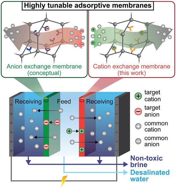 Polymer membranes with embedded nanoparticles that selectively remove ionic compounds (top) are employed in electrodialysis (bottom) to remove not only salt but also metals, producing clean water and a non-toxic brine that is easier to dispose of. The membranes (green and red) can be flushed and reused many times, while valuable metals could potentially be salvaged. Source: Adam Uliana/ University of California Berkeley