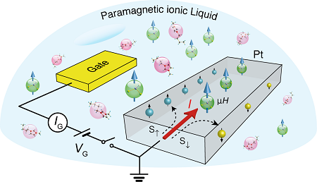 Schematic of platinum transistor with paramagnetic ionic liquid gate. Source: L. Liang, University of Groningen