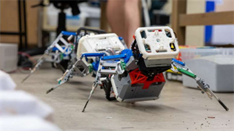 Centipede-inspired robots to be deployed for search and rescue, space exploration