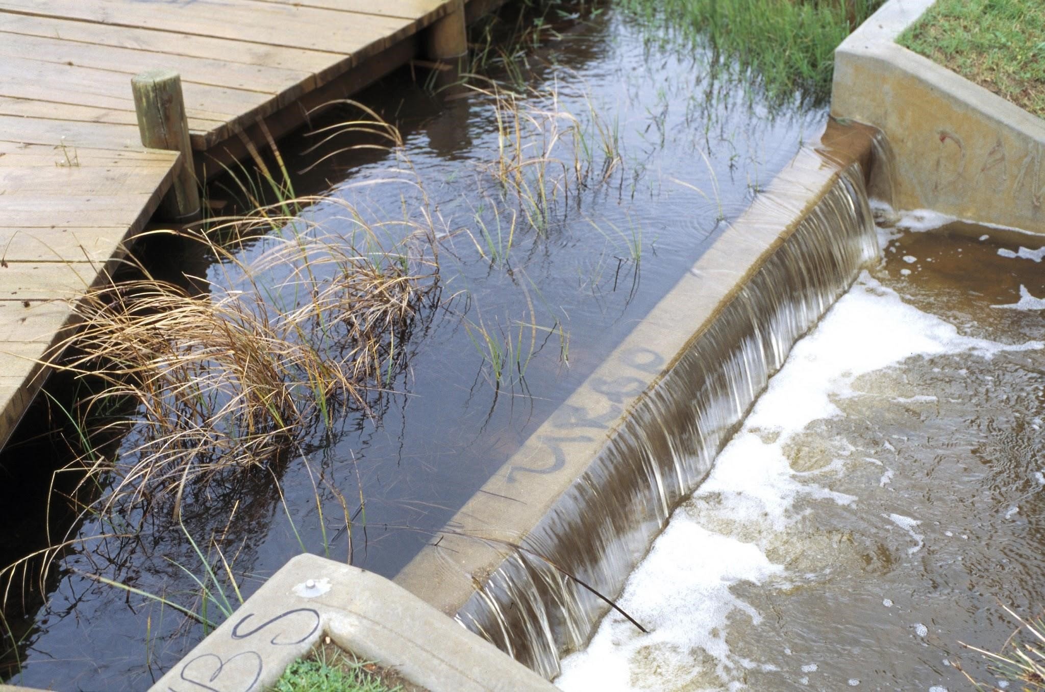 Figure 1. Stormwater runoff at the Paddocks wetland in the northern Adelaide suburb of Salisbury, Southern Australia. Credit: CSIRO/CC BY 3.0