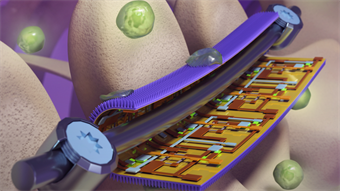 Smart coating simultaneously kills bacteria, monitors implant strain