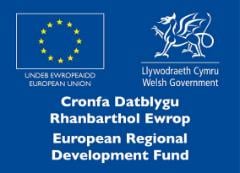 This is the European Regional Development Fund logo. (Source: European Regional Development Fund)