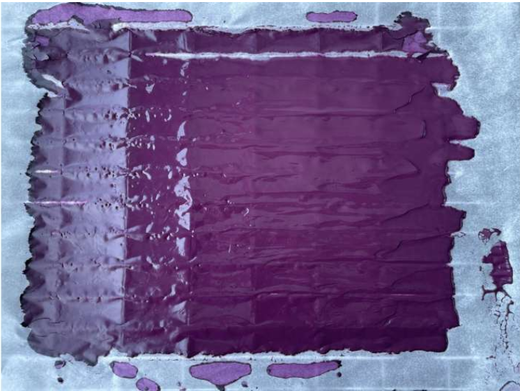 Filtered wine lees. Source: Dr G&uuml;lce Bedis Kaynarca