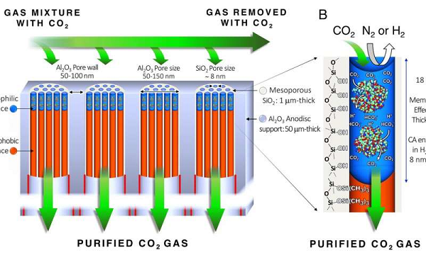 Enzymatic liquid membrane design and mechanism of carbon dioxide capture and separation. Source: Sandia National Laboratories 