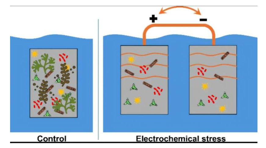 Source: ACS ES&T Water (2025). DOI: 10.1021/acsestwater.5c00794