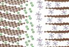 In dual-ion batteries, upon charging, anions migrate into the lattice of the positive electrode and cations move into the structure of the negative electrode. Image credit: Oregon State University