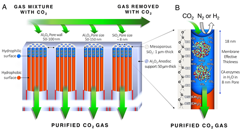 Schematic of how the process works. Source: Sandia National Laboratories