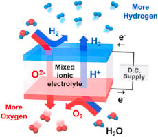 Illustration of hydrogen and oxygen ion transport through the mixed ionic electrolyte of a hybrid solid-oxide electrolysis cell. Source: Elsevier