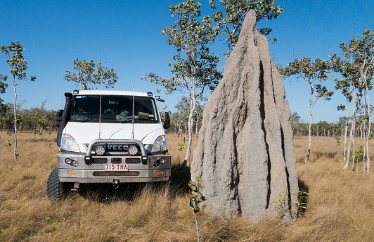Termite mound. Source: Jim Bendon / CC BY-SA 2.0