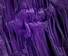 Surface treated with SLIPS. Image source: Wyss Institute, Harvard