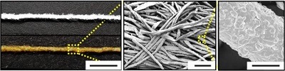 Plain cotton fibers and metallic cotton fibers are used as electrodes in a new biofuel cell. Source: Georgia Institute of Technology/Korea University