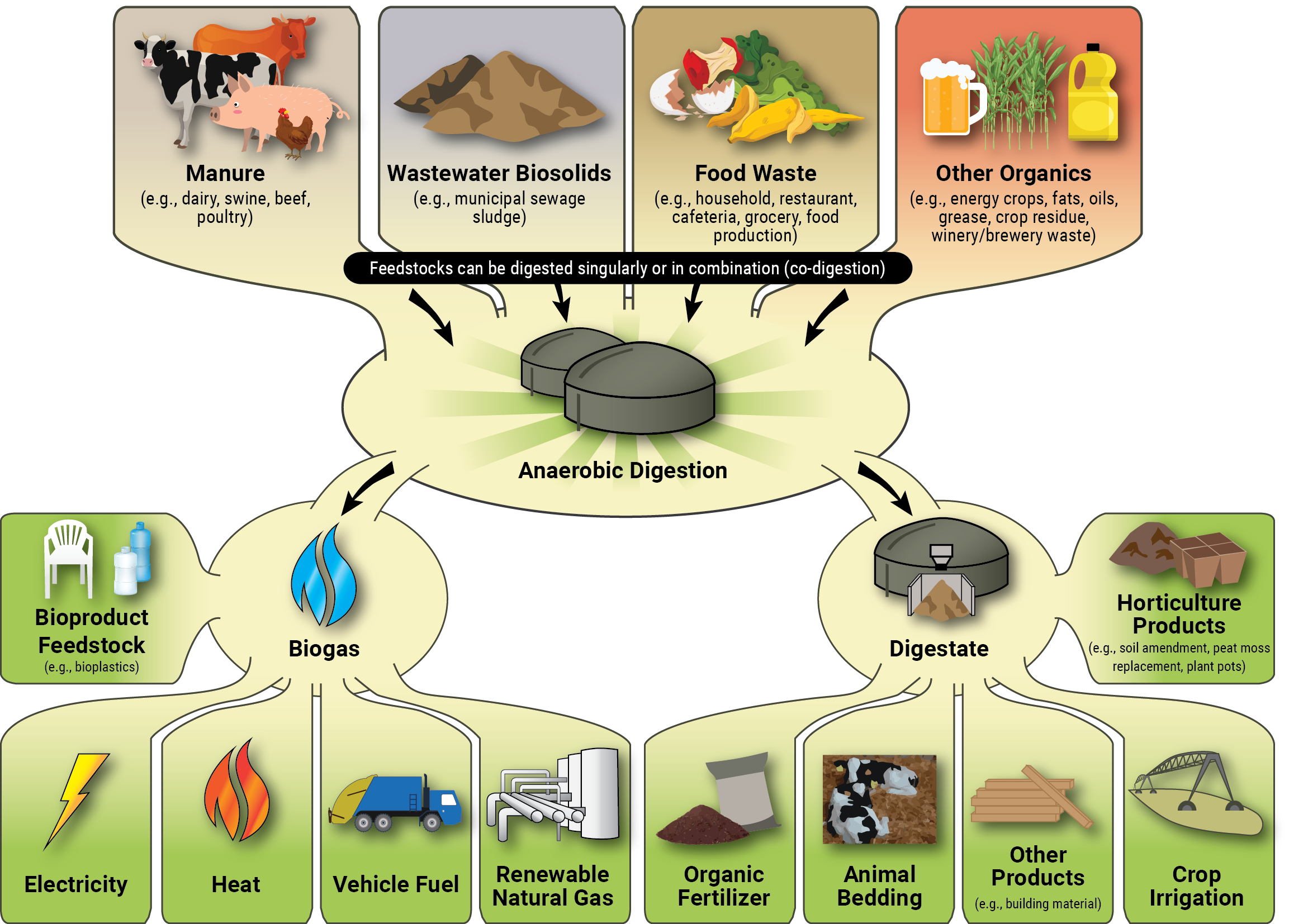 Anaerobic digestion produces two valuable outputs: biogas and digestate. Image: EPA.gov 