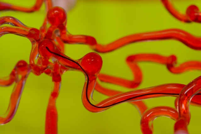 MIT engineers have developed robotic thread (in black) that can be steered magnetically and is small enough to work through narrow spaces such as the vasculature of the human brain. The researchers envision the technology may be used in the future to clear blockages in patients with stroke and aneurysms. Source: MIT