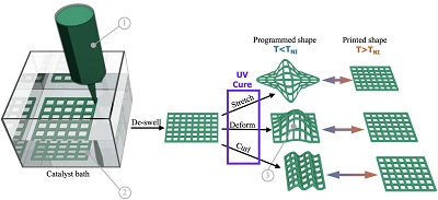 Graphic depicts the 3D printing process used to produce shapeshifting materials that may be useful to make soft robots or biomedical implants. Source: Verduzco Laboratory, Rice University