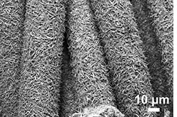 Nanostructures on the surface of the fabric. Image source: Queensland University of Technology
