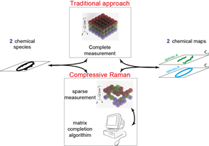 With the new compressive Raman approach, the researchers could acquire less spectral data than traditionally required and then use the matrix completion algorithm to fill in information not recorded.  Source: Hilton De Aguiar, &Eacute;cole Normale Sup&eacute;rieure