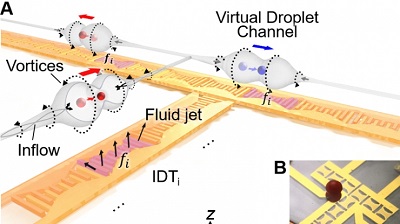 Droplets of different sizes sit on transducer grids that vibrate to create tunnels in a thin layer of oil, which can transport the droplets in multiple directions. Source: Peiran Zhang et al.