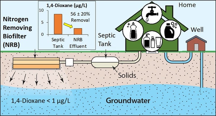 Schematic of the nitrogen removing biofilter system. Source: Christopher J. Gobler et al./Stony Brook University