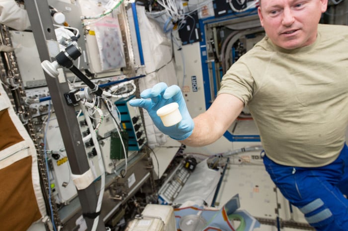 The first object to be printed in space with two parts, a container and a lid, is held by astronaut Barry “Butch” Wilmore aboard the ISS. Source: NASA